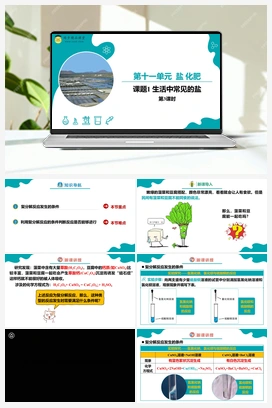 课题1 生活中常见的盐 第3课时（课件+练习） 人教版初中化学九年级下册
