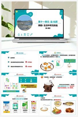 课题1 生活中常见的盐 第1课时（课件+练习） 人教版初中化学九年级下册