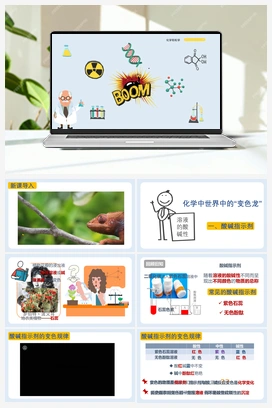 8.1 溶液的酸碱性（课件） 初中化学九年级下册