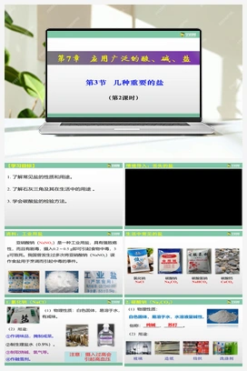 7.3 几种重要的盐（课件+练习+视频） 沪教版初中化学九年级下册