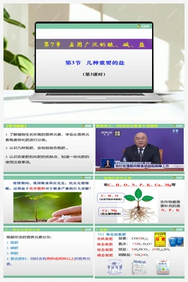 7.3 几种重要的盐（课件+视频） 沪教版初中化学九年级下册