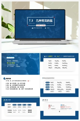 7.3.1 几种重要的盐（第1课时 盐的概念及化学性质） （课件+视频） 沪教版初中化学九年级下册