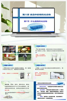 8.1 什么是有机化合物（课件+作业） 沪教版初中化学九年级下册