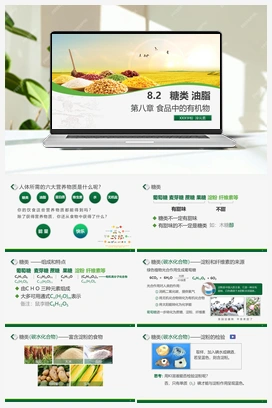 8.2 糖类和油脂（课件+视频） 沪教版初中化学九年级下册