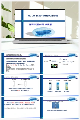 8.3 蛋白质 维生素（课件+作业） 沪教版初中化学九年级下册