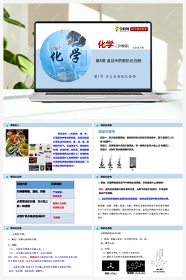 第1节 什么是有机化合物 沪教版初中化学九年级下册