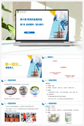 第7讲 盐和肥料（课件+视频） 沪教版初中化学九年级下册