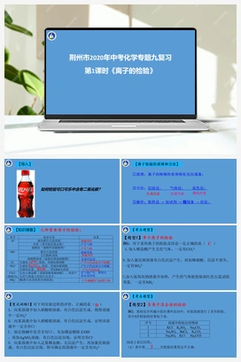 荆州市2020年中考化学专题九离子的检验资料