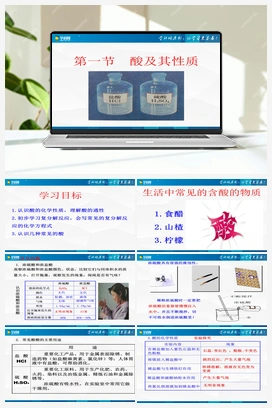 2.1酸及其性质（课件+练习） 鲁教版初中化学九年级