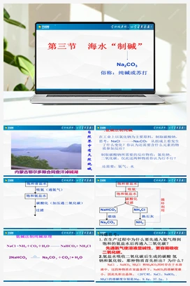 3.3 海水“制碱”（课件+练习） 鲁教版初中化学九年级