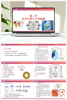 5.2 化学元素与人体健康（课件+练习） 鲁教版初中化学九年级