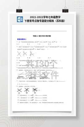 2021-2022学年七年级数学下册常考点微专题提分精练（苏科版）