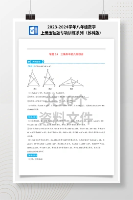 2023-2024学年八年级数学上册压轴题专项讲练系列（苏科版）