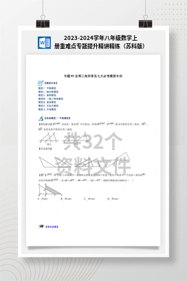 2023-2024学年八年级数学上册重难点专题提升精讲精练（苏科版）