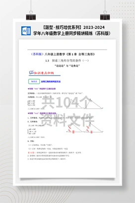 【题型·技巧培优系列】2023-2024学年八年级数学上册同步精讲精练（苏科版）