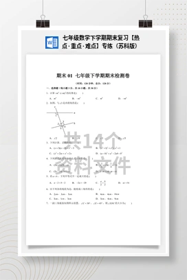 七年级数学下学期期末复习【热点·重点·难点】专练（苏科版）