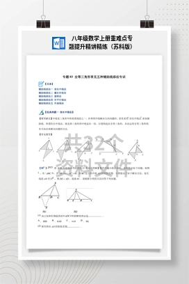 八年级数学上册重难点专题提升精讲精练（苏科版）