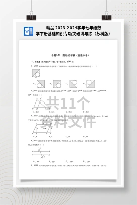 精品 2023-2024学年七年级数学下册基础知识专项突破讲与练（苏科版）