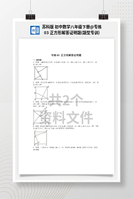 专练03 正方形解答证明题(题型专训) 苏科版 初中数学八年级下册