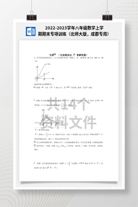 2022-2023学年八年级数学上学期期末专项训练（北师大版，成都专用）