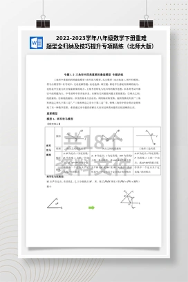 2022-2023学年八年级数学下册重难题型全归纳及技巧提升专项精练（北师大版）