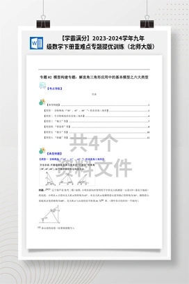 【学霸满分】2023-2024学年九年级数学下册重难点专题提优训练（北师大版）