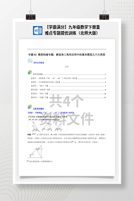 【学霸满分】九年级数学下册重难点专题提优训练（北师大版）