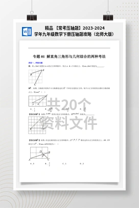 精品 【常考压轴题】2023-2024学年九年级数学下册压轴题攻略（北师大版）