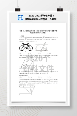 2022-2023学年七年级下册数学期末复习综合训（人教版）