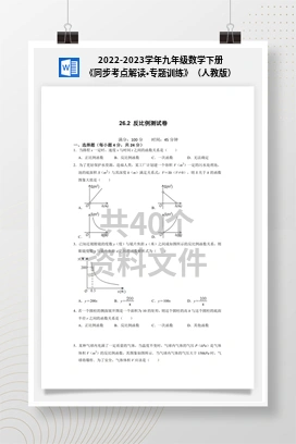 2022-2023学年九年级数学下册《同步考点解读•专题训练》（人教版）