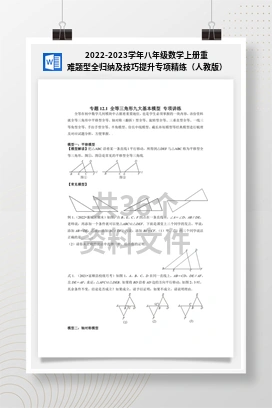 2022-2023学年八年级数学上册重难题型全归纳及技巧提升专项精练（人教版）