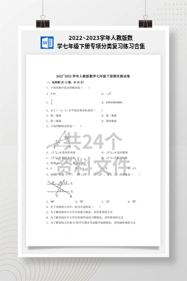 2022~2023学年人教版数学七年级下册专项分类复习练习合集