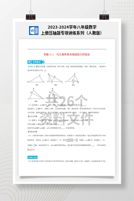 2023-2024学年八年级数学上册压轴题专项讲练系列（人教版）