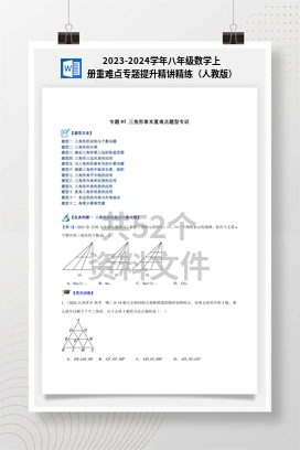 2023-2024学年八年级数学上册重难点专题提升精讲精练（人教版）