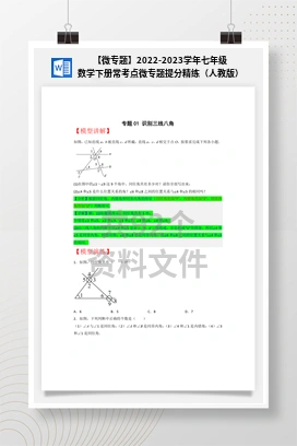 【微专题】2022-2023学年七年级数学下册常考点微专题提分精练（人教版）