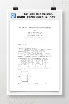 【挑战压轴题】2022-2023学年八年级数学上册压轴题专题精选汇编（人教版）