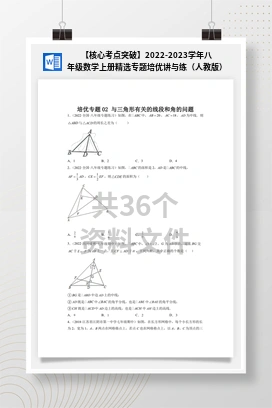 【核心考点突破】2022-2023学年八年级数学上册精选专题培优讲与练（人教版）