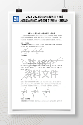 2022-2023学年八年级数学上册重难题型全归纳及技巧提升专项精练（浙教版）