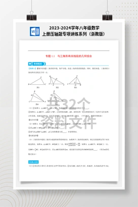 2023-2024学年八年级数学上册压轴题专项讲练系列（浙教版）