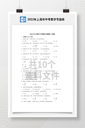 2022年上海市中考数学专题练