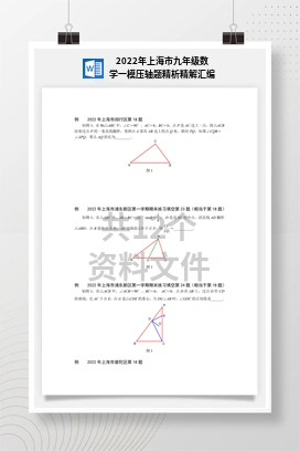 2022年上海市九年级数学一模压轴题精析精解汇编