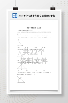 2023年中考数学考前专项微测试合集