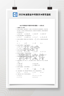 2023年湖南省中考数学冲刺专题练