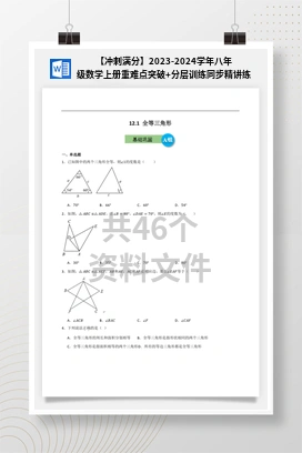 【冲刺满分】2023-2024学年八年级数学上册重难点突破+分层训练同步精讲练