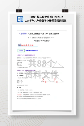 【题型·技巧培优系列】2023-2024学年八年级数学上册同步精讲精练