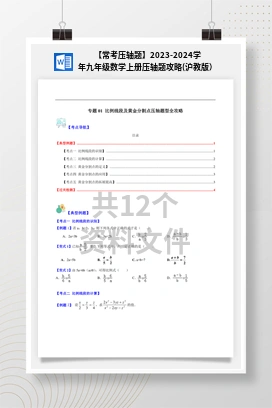 【常考压轴题】2023-2024学年九年级数学上册压轴题攻略(沪教版）