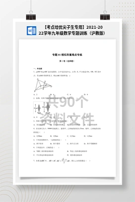 【考点培优尖子生专用】2021-2022学年九年级数学专题训练（沪教版）
