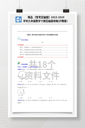 精品 【常考压轴题】2023-2024学年九年级数学下册压轴题攻略(沪教版）