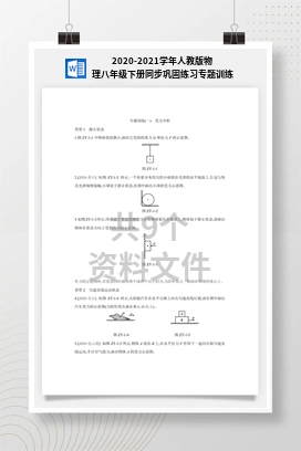 2020-2021学年人教版物理八年级下册同步巩固练习专题训练
