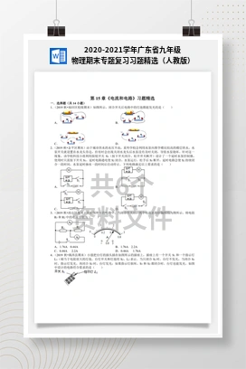 2020-2021学年广东省九年级物理期末专题复习习题精选（人教版）